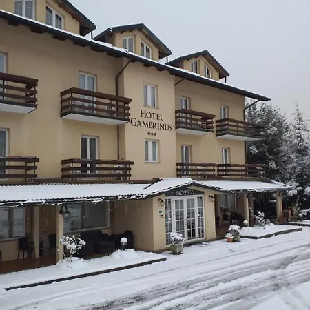 ホテル Gambrinus アッバディーア・サン・サルヴァトーレ