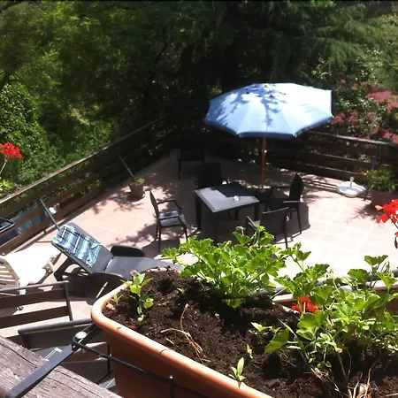 ホテル Gambrinus 3*